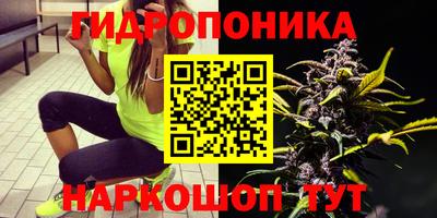 МДМА Канаш
