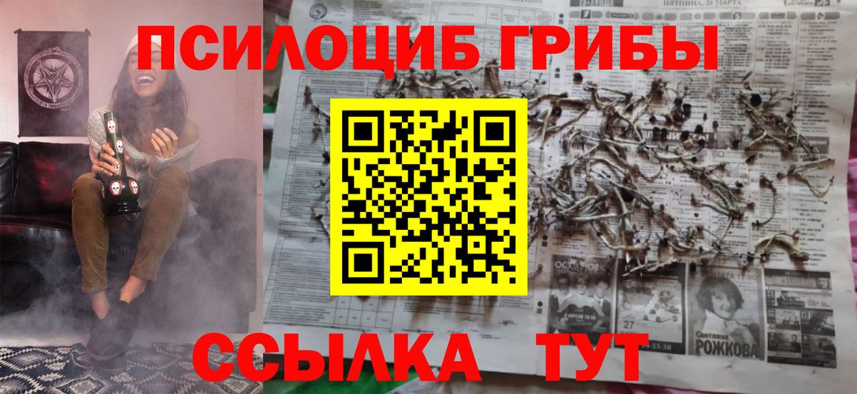 Псилоцибиновые грибы GOLDEN TEACHER  Псилоцибиновые грибы мицелий  Владимир  Вход с VPN 